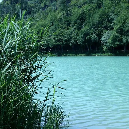 Malga Laghetto * Lavarone