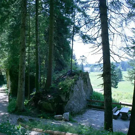 Appartamento Malga Laghetto Lavarone