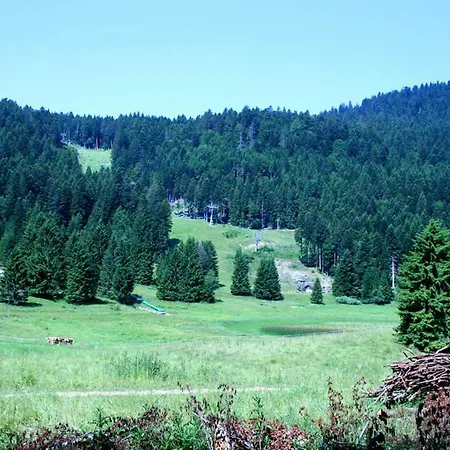 Malga Laghetto Appartamento