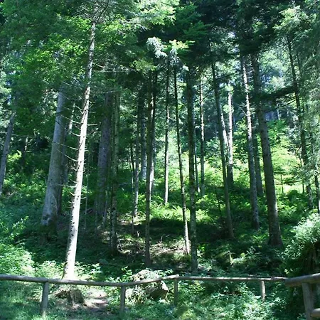 Malga Laghetto *