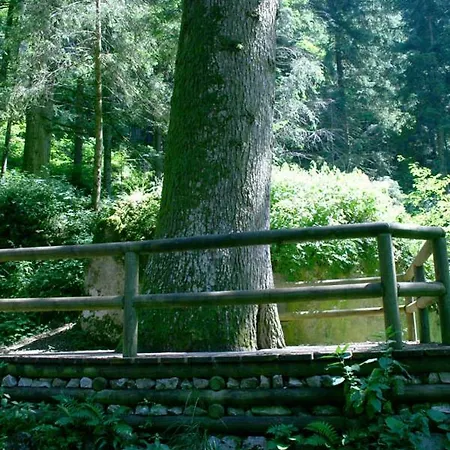 Malga Laghetto