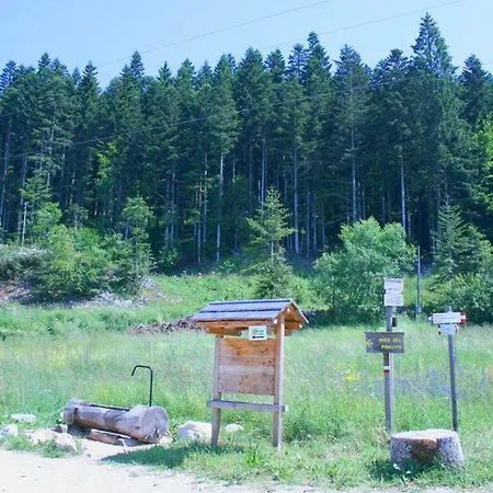 Malga Laghetto